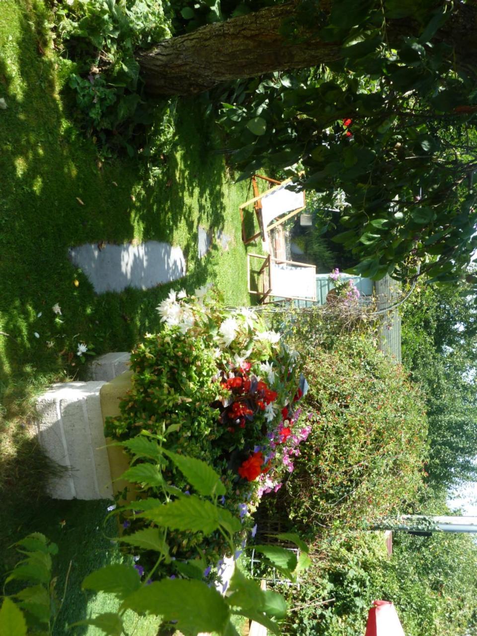 Hillside Self Catering Bed & Breakfast Salisbury Exterior photo